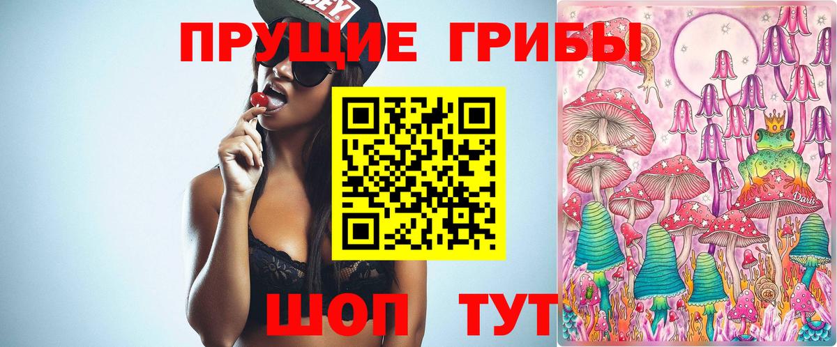 Псилоцибиновые грибы Cubensis  Вход с VPN  Каменка 